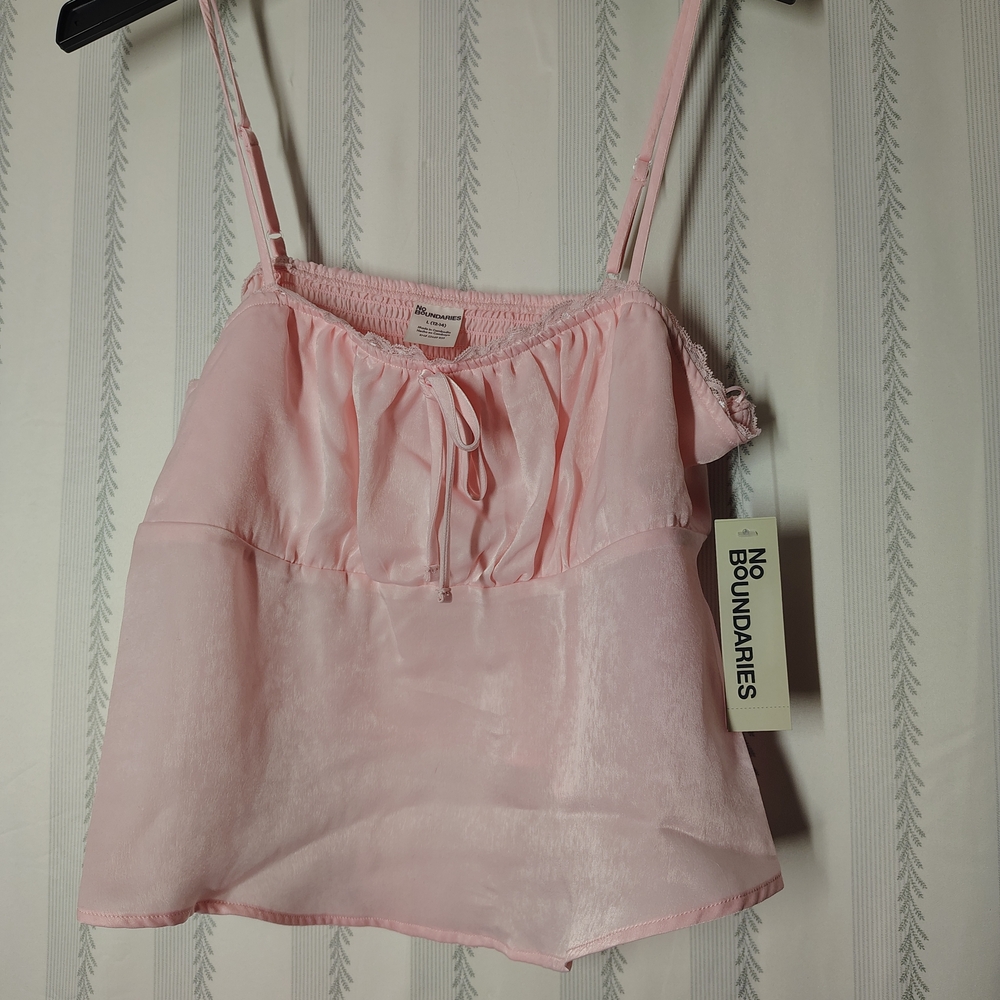 No Boundaries Blush Pink Sheer Top